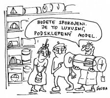 podsklepeny model